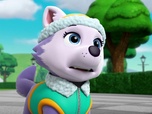 Replay Paw Patrol, la Pat'Patrouille - La bonne vieille source