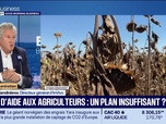 Replay Good Morning Business - Après les canicules de cet été, les prix vont augmenter