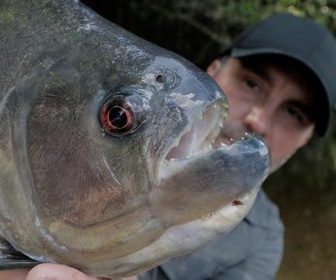 Replay Pêche XXL - Le dévoreur de l'amazone