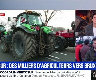 Replay Apolline de 9 à 10 - Cet agriculteur de Seine-et-Marne prend part au cortège de près de 400 tracteurs en direction de Bruxelles pour protester contre le Mercosur
