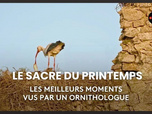 Replay Le Sacre du Printemps