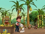 Replay Paw Patrol, la Pat'Patrouille - Travis dans la jungle