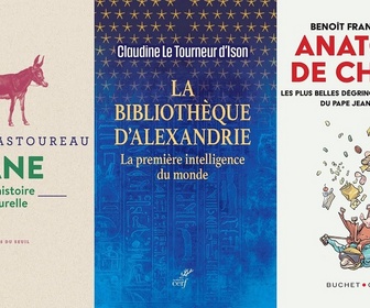 Replay HShow 588 - Histoire culturelle