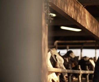 Le goût du détail replay