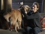 Replay Castle - S4E13 - Une vie de chien