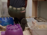 Replay Au cœur du zoo de New York - S1E5 - Nouvelle ruche