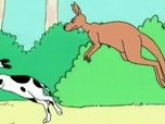 Replay Barbapapa autour du monde - S01 E11 - Les kangourous
