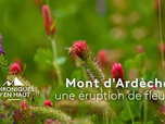 Replay Chroniques d'en Haut