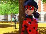 Replay Miraculous - Les aventures de Ladybug et Chat Noir - M. Pigeon