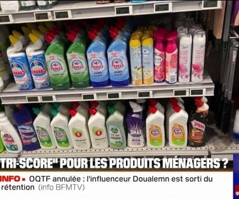 Replay 20H BFM - L'Agence nationale de sécurité sanitaire propose la mise en place d'un étiquetage rappelant celui du Nutriscore sur les produits ménagers