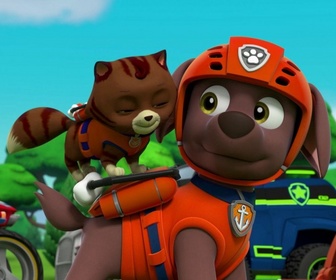 Replay Paw Patrol, la Pat'Patrouille - L'étang aux canards