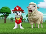 Replay Paw Patrol, la Pat'Patrouille - Les mésanges charbonnières