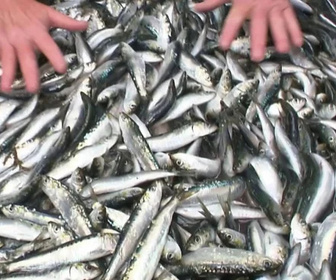 Replay Le Mag de la santé - 17/02/2026