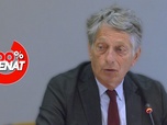 Replay 100% Sénat - Crise des droits TV du foot professionnel : audition de Nicolas de Tavernost