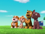 Replay Paw Patrol, la Pat'Patrouille - Marcus, seul dans la tour de contrôle
