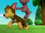 Replay Paw Patrol, la Pat'Patrouille - Le Ruben-O-Saurus - 26'