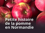 Replay Petite histoire de la pomme en Normandie