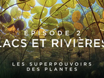 Replay Les superpouvoirs des plantes - 23/02/2026