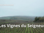 Replay La France en vrai - Les Vignes du Seigneur