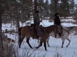 Replay Seuls face à l'Alaska - S9E2 - Nouveaux projets