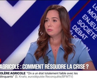 Replay BFM Politique - Pour Sarah Knafo, eurodéputé Reconquête, le Mercosur est une trahison envers les agriculteurs