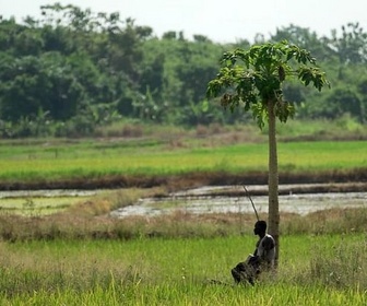 Replay Galice / Côte d'Ivoire / Chili - Invitation au voyage