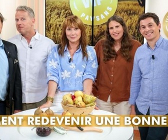 Replay VIP Very Important Paysans - Comment redevenir une bonne poire