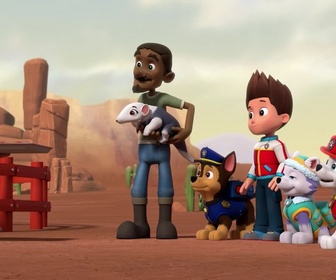 Replay Paw Patrol, la Pat'Patrouille - Le bébé fourmilier