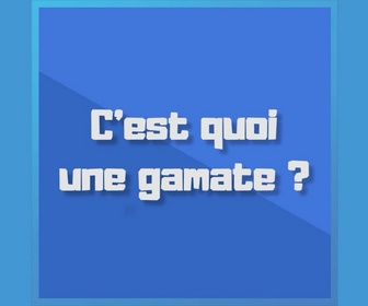 Replay Parlez-vous le sud ? - Que veut dire une gamate ?