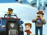 Replay Paw Patrol, la Pat'Patrouille - Une livraison en péril