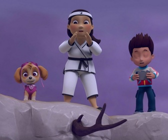 Replay Paw Patrol, la Pat'Patrouille - Maître Yumi