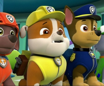 Replay Paw Patrol, la Pat'Patrouille - Le concours de beauté