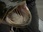 Replay River monsters