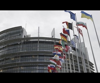 Replay Élections européennes : les enjeux nationaux éclipsent-ils les enjeux européens ?