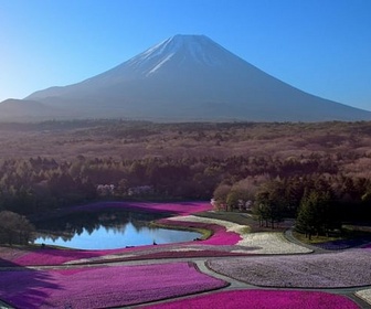 Replay À regarder en famille - Japon, les racines du soleil