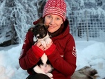 Replay Huskies, top départ ! - GEO Reportage