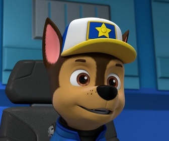 Replay Paw Patrol, la Pat'Patrouille - Mission camion : Le chalet snowboarder