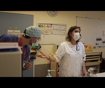 Replay Hantavirus : la France se prépare, une quarantaine en hôpital pour tous les cas contacts