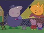 Replay Peppa Pig - Les animaux nocturnes