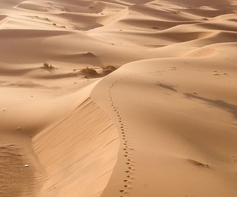 Replay Maroc - L'Afrique vue du ciel