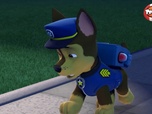 Replay Paw Patrol, la Pat'Patrouille - La Super Patrouille