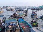 Replay Le sud du Vietnam au fil de l'eau