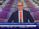 Replay BFM Patrimoine - Idée de placements : Commercialisation des vins Primeurs 2022, quel intérêt financier ? - 05/06