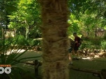 Replay Une saison au zoo - S12 E25