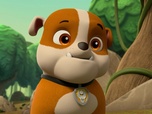 Replay Paw Patrol, la Pat'Patrouille - Des pingouins dans la jungle