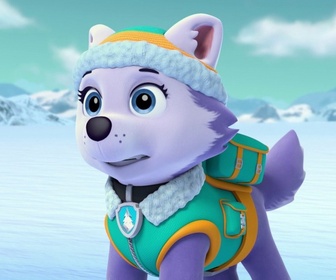 Replay Paw Patrol, la Pat'Patrouille - Le bébé pingouin