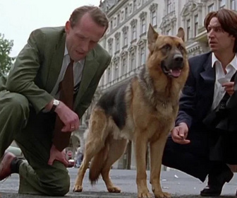 Replay Rex, chien flic - Traces de sang
