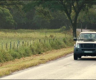 Replay Foudre - L'Arbre percé