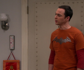 Replay The Big Bang Theory - S10E18 - Un toit pour Rajesh