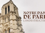 Replay Notre Dame de Paris : l'indestructible